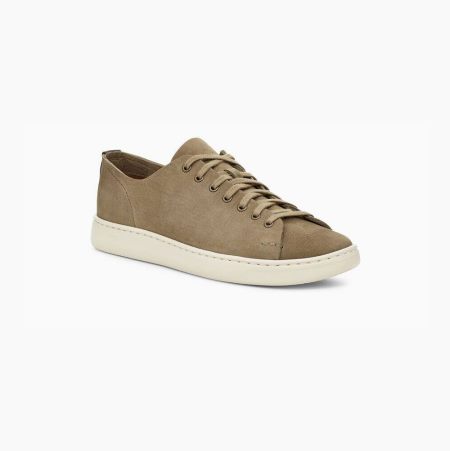 UGG Pismo Low Taupe Sneakers for Men (YBRC31674)